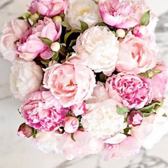 Meet your Posher, Sarra - Picture 1 of 1